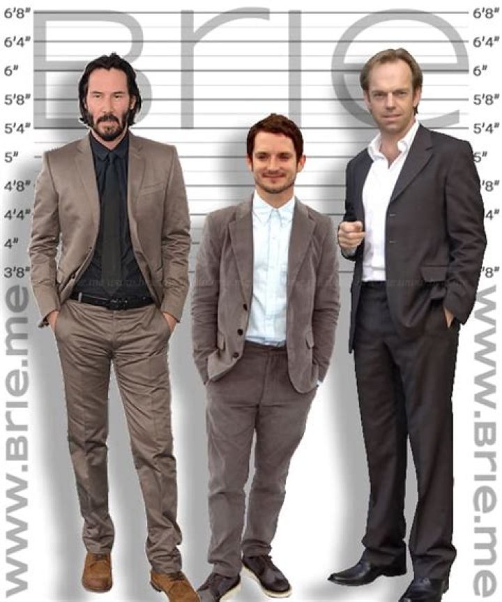Age, Movies, Height, And Beyond