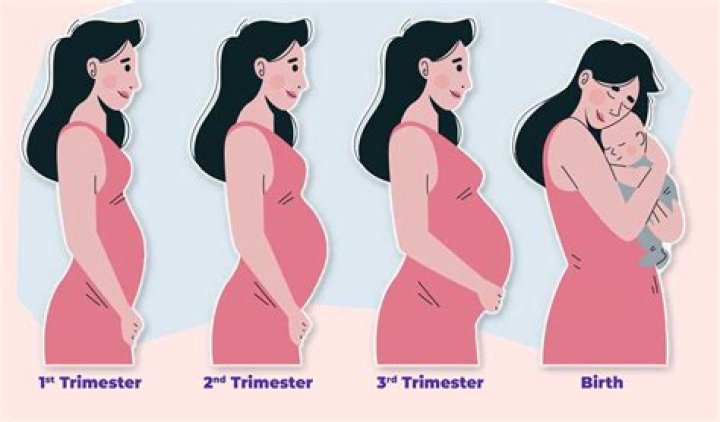 Alicia Vikander's Pregnancy Journey: An Inspiring Guide