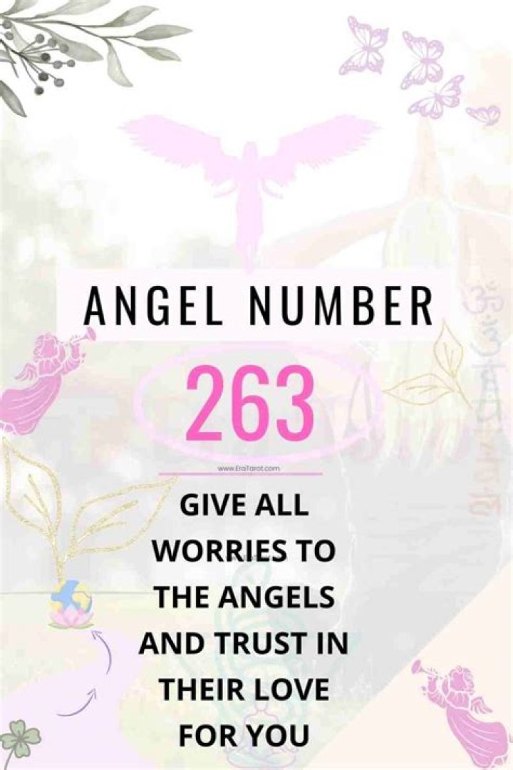 ANGEL NUMBER 263