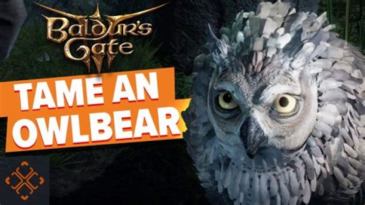 Baldur's Gate 3 (BG3): How To Get The Owlbear Cub