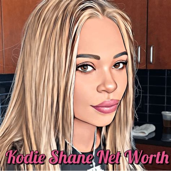 Blogsia | Kodie Shane Net Worth