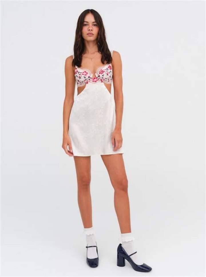 Captivating Insights Into The "For Love & Lemons Festival Rose Dress"