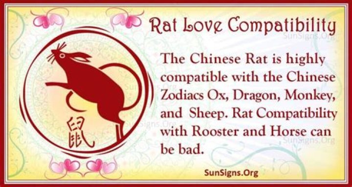 Chinese Rat Zodiac Compatibility - Who Should A Rat Marry?