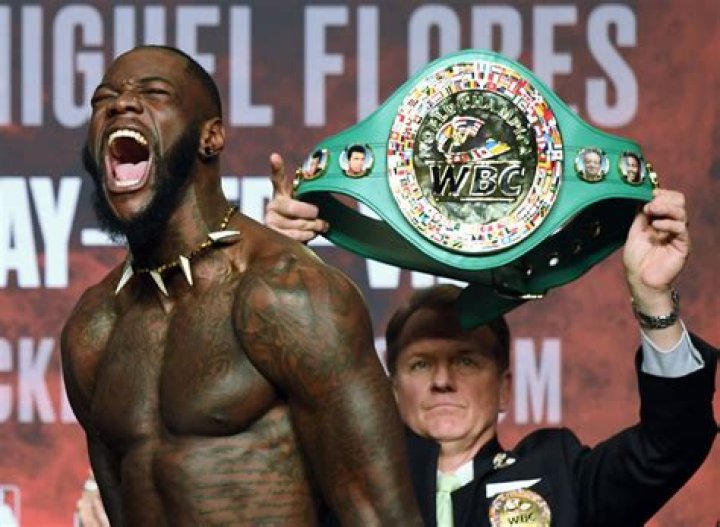 Deontay Wilder Net Worth | Celebrity Net Worth ·