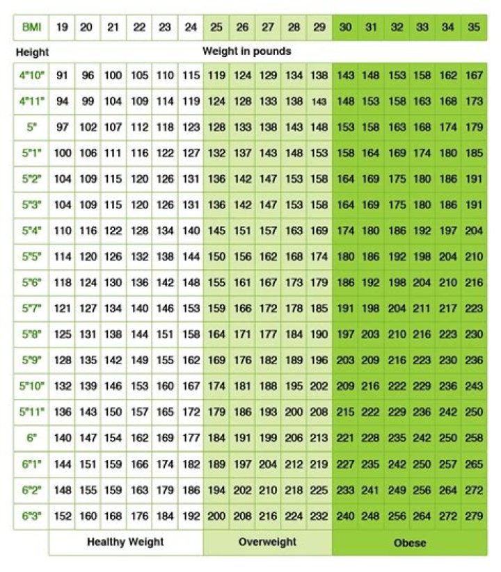 Height, Weight, Measurements, And More (In-Depth Analysis)