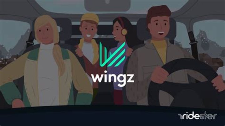 How much do Wingz drivers make? |