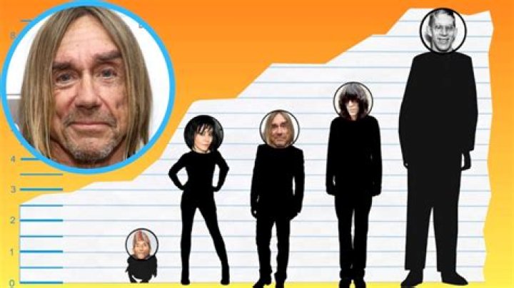 Iggy Pop Height