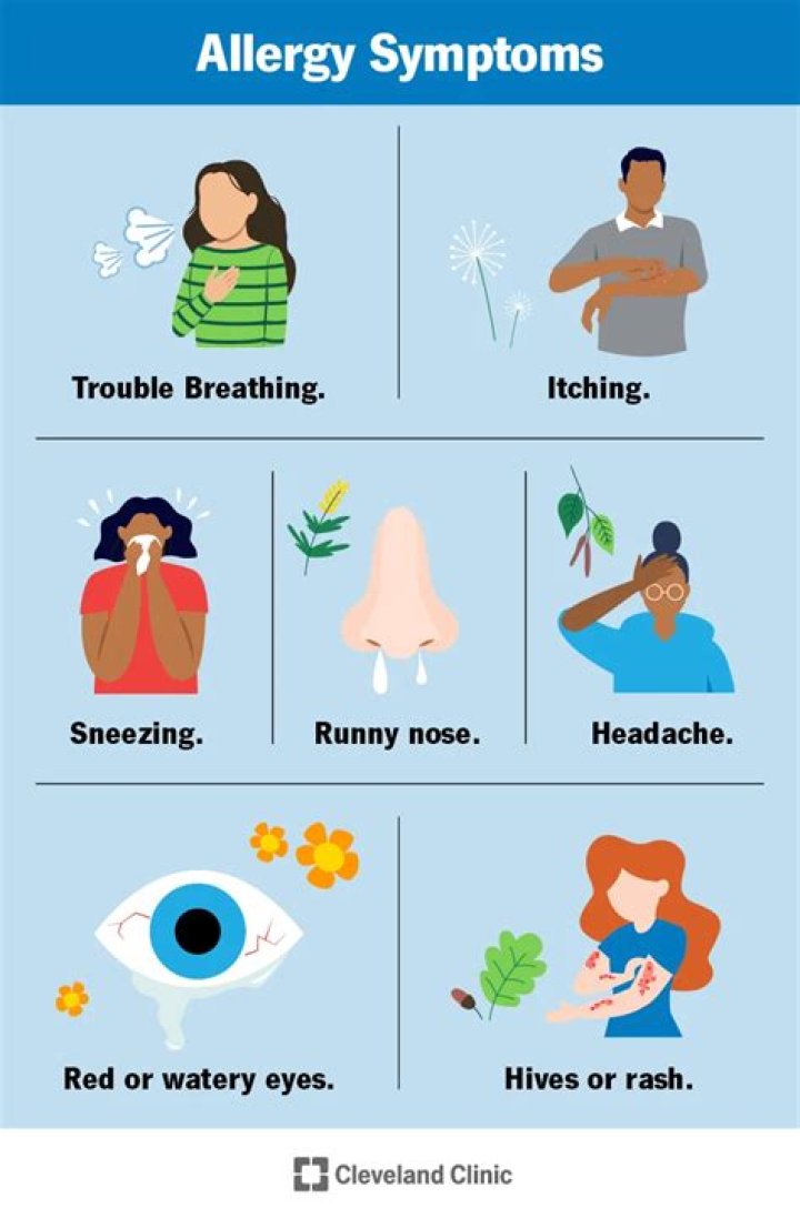 Medical reactions that cause sneezing, itching Logicross Answers