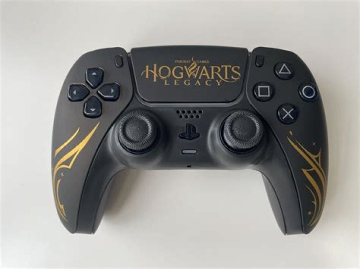 MNK Or Controller For Hogwarts Legacy