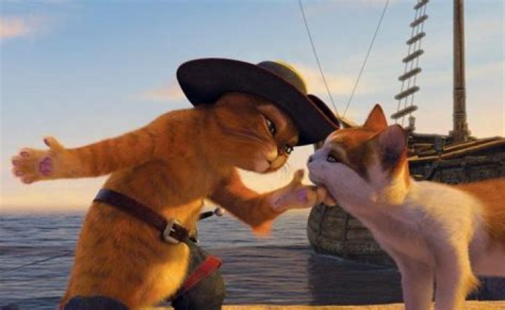 Movie Pets; Famous Dogs & Cats From TV & Film ·