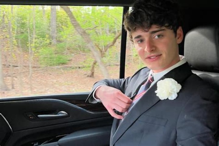 Noah Schnapp Biography, Age, Height, Wife, Net Worth, Family