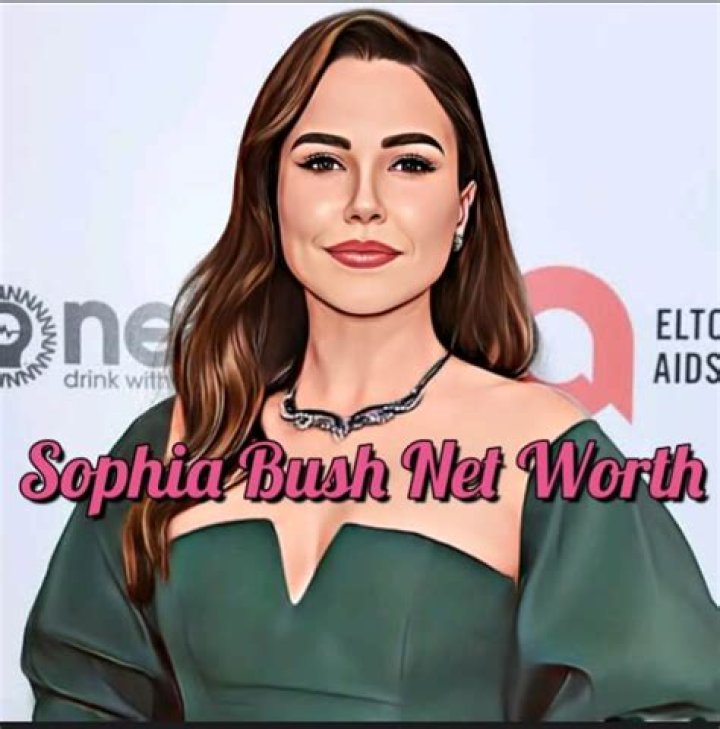 Sophia Bush Net Worth Celebrity Net Worth