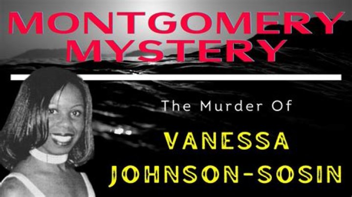 The Murder Of Vanessa Johnson Williams