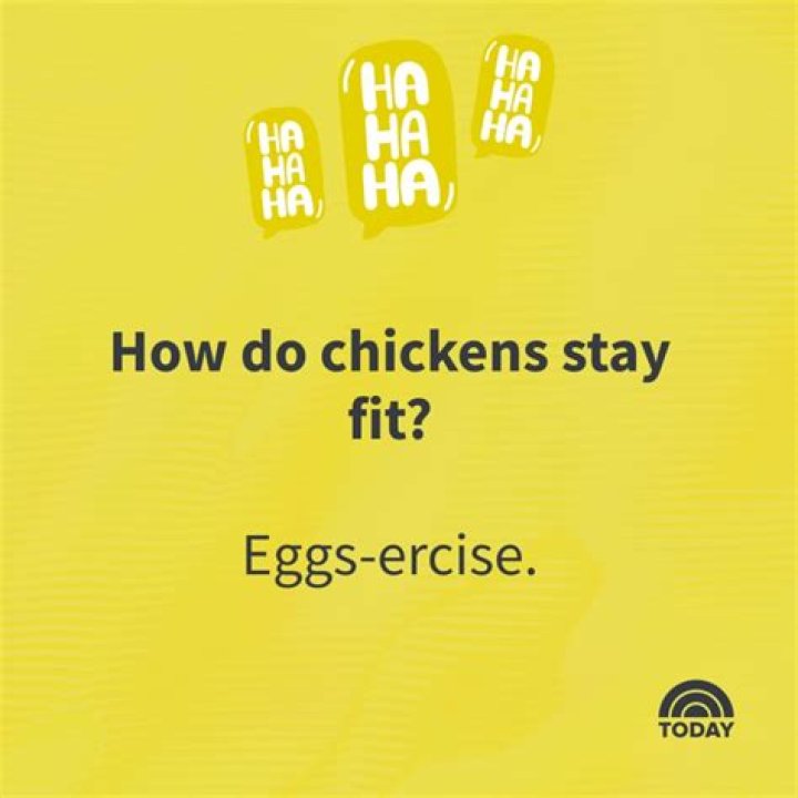 Unlock The Secrets Of Guess Chicken Jokes: Discoveries And Insights Await