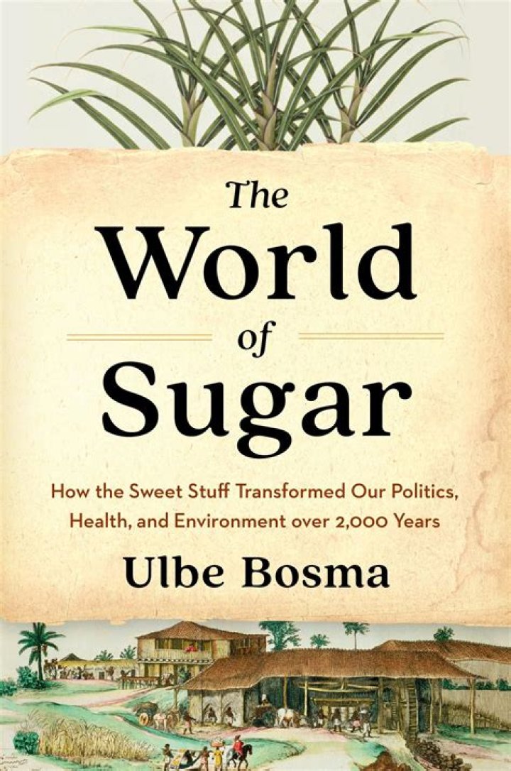 Unraveling The Tragedy Of Anna Bosma