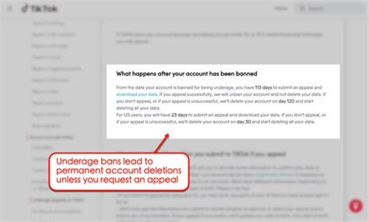 Unraveling TikTok Appeal Processing Times