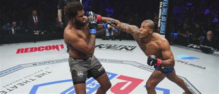 Unveiling The Enigma: Ariel Mitchell Conor McGregor
