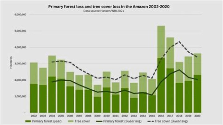 Unveiling The Factors And Implications