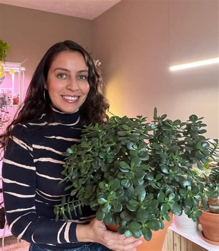Who Is Krystal Duran Indiana? Learn About Her The TikTok Star |