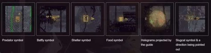 ZestW | Rain World Beginners Tips